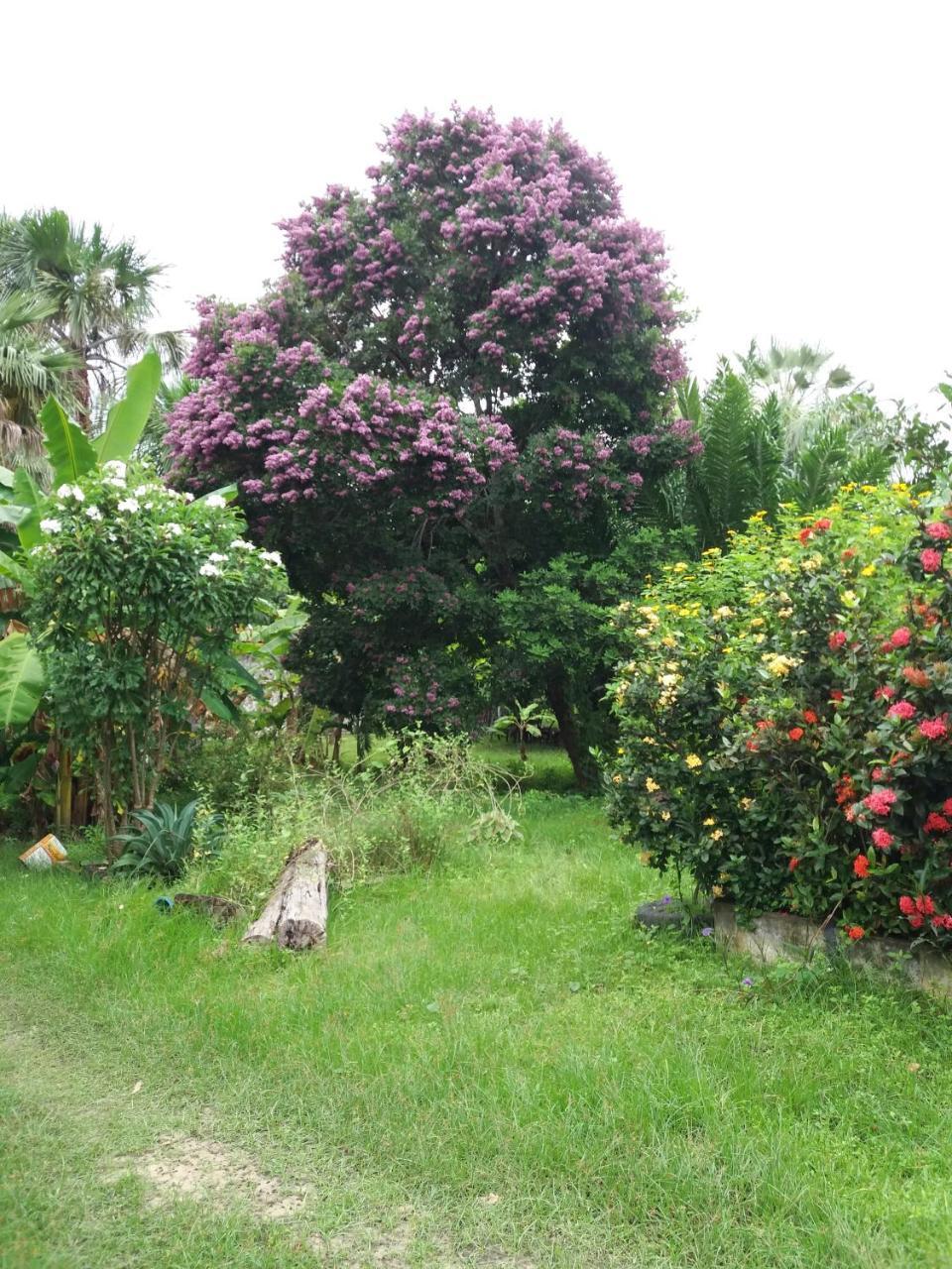 Pousada Sitio Preguicas Balaclava Extérieur photo